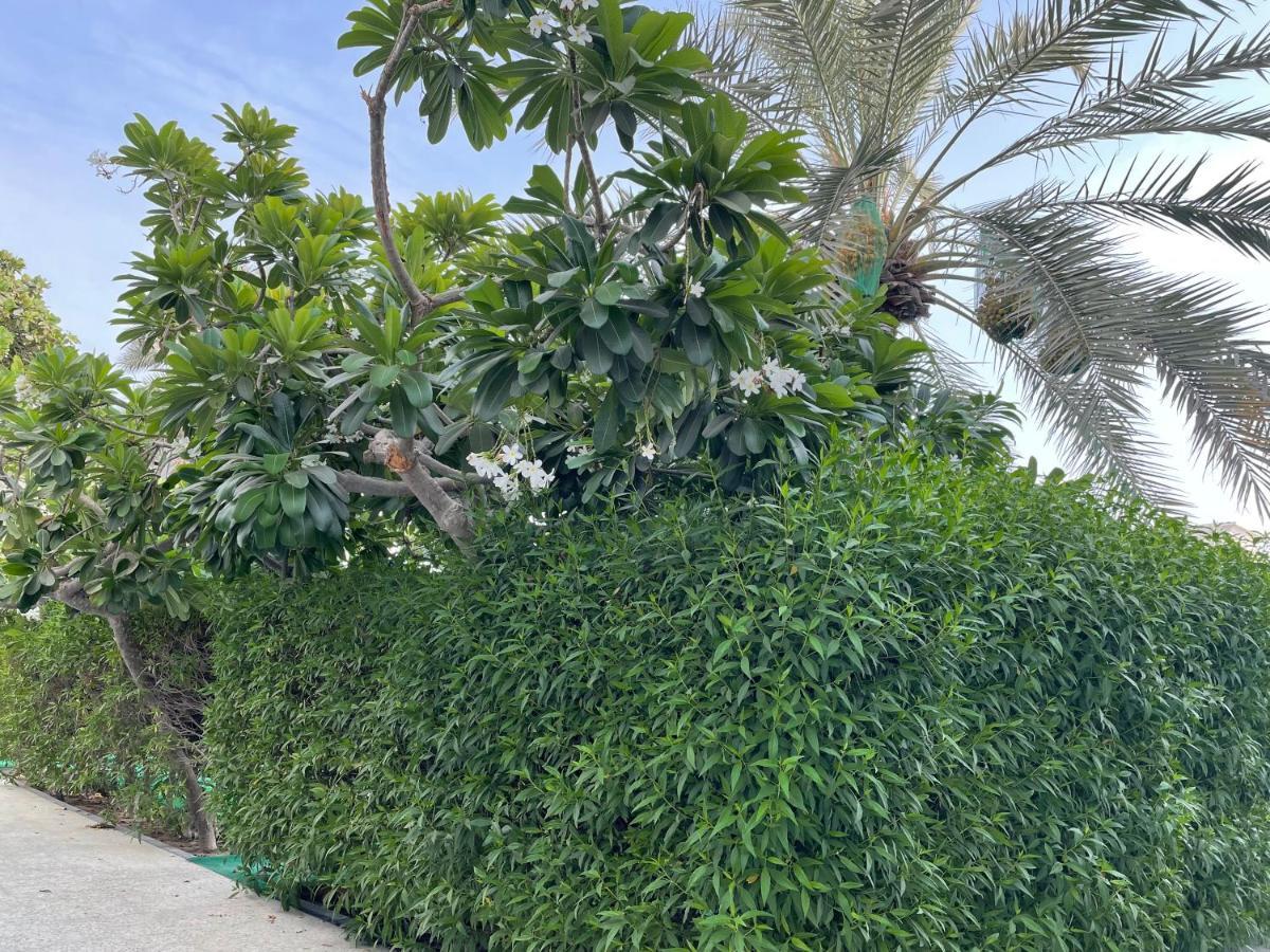 Al Corniche Hotel Schardscha Exterior foto